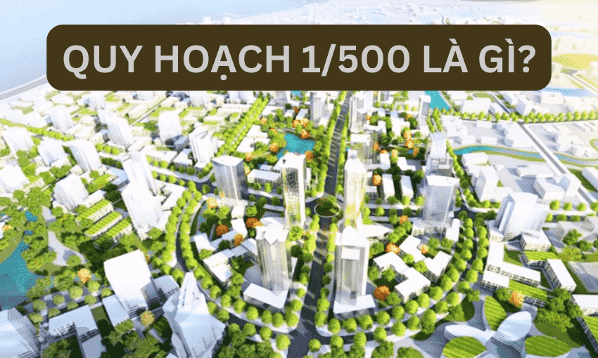 quy hoạch 1 500 là gì