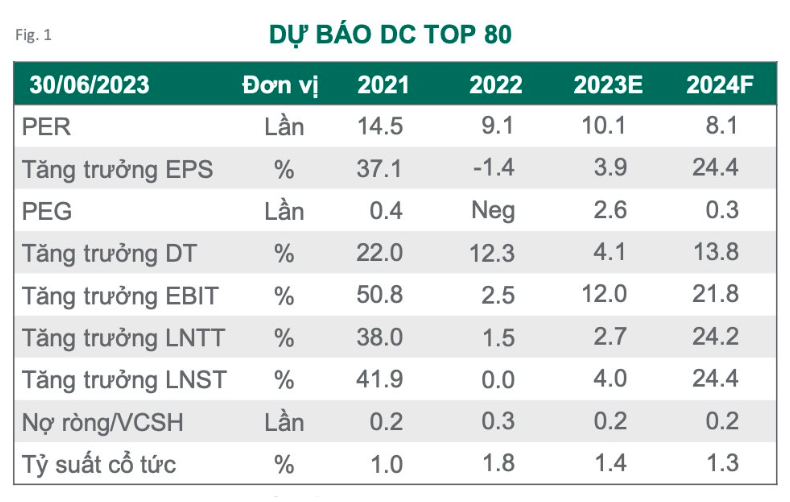 du-bao-dc-top-80