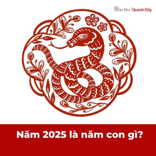 2025 Là Năm Con Gì? Mệnh Gì? Hợp Với Bố Mẹ Tuổi Gì OneDay