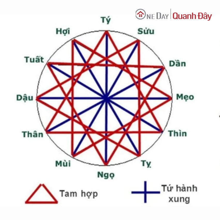 dan-than-ty-hoi-tu-hanh-xung