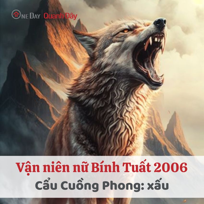 van-nien-binh-tuat-2006