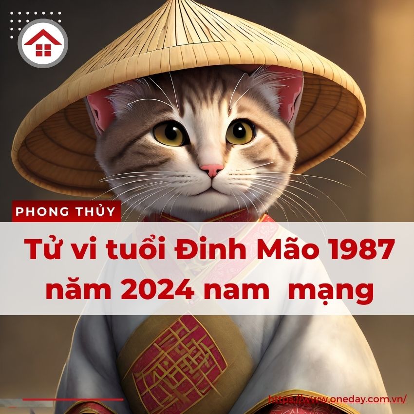 Tử Vi Tuổi Đinh Mão 1987 Năm 2024 Nam Mạng Không Được Bỏ Qua!