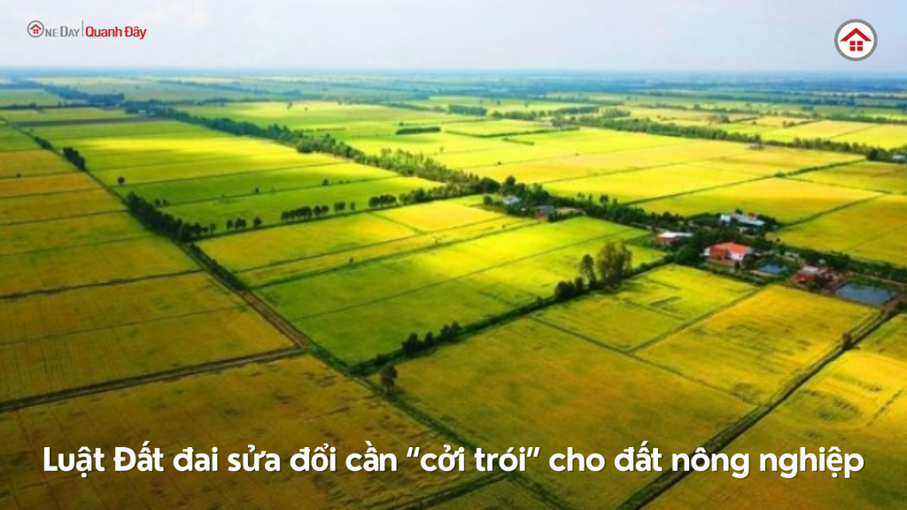 luat-dat-dai-sua-doi-2024-coi-troi-cho-dat-nong-nghiep-oneday-1