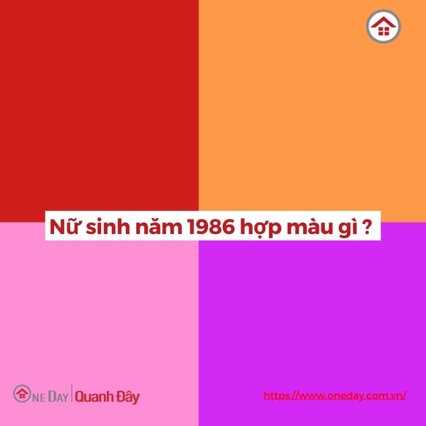 nu-sinh-nam-1986-hop-mau-gi-oneday