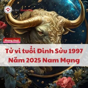 Vận Trình Tử Vi Tuổi Đinh Sửu 1997 Năm 2025 Nam Mạng Chính Xác Nhất