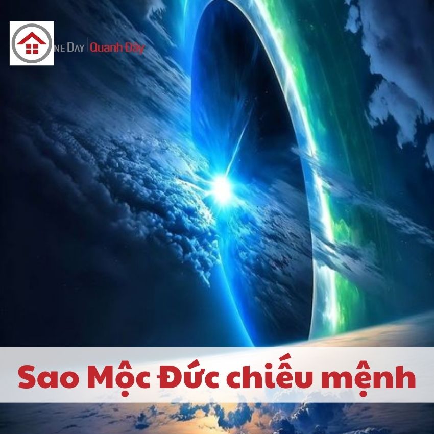 sao-moc-duc-oneday