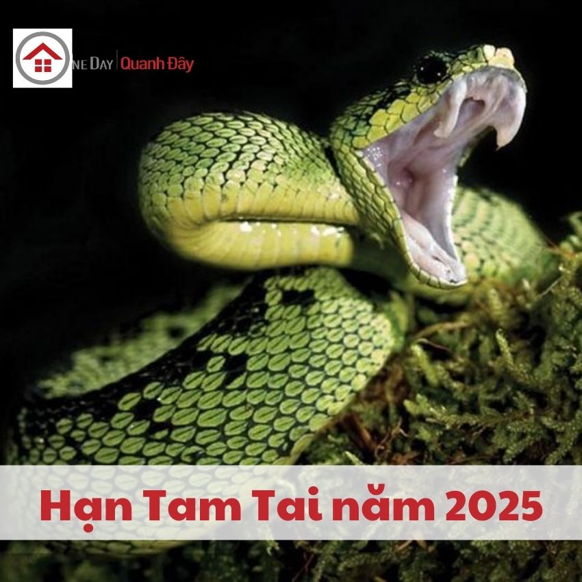 tam-tai