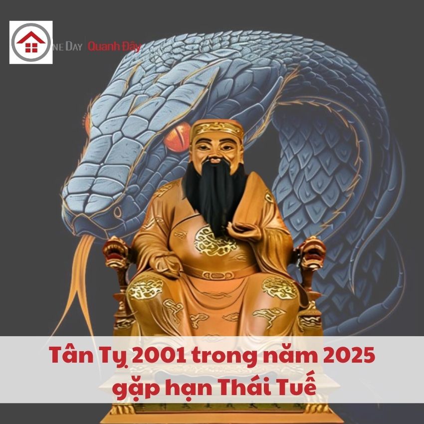 thai-tue-2025