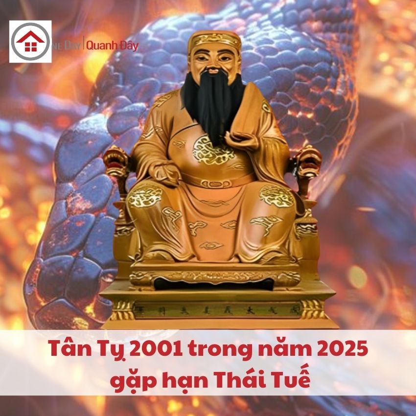 thai-tue-2025-tan-ty