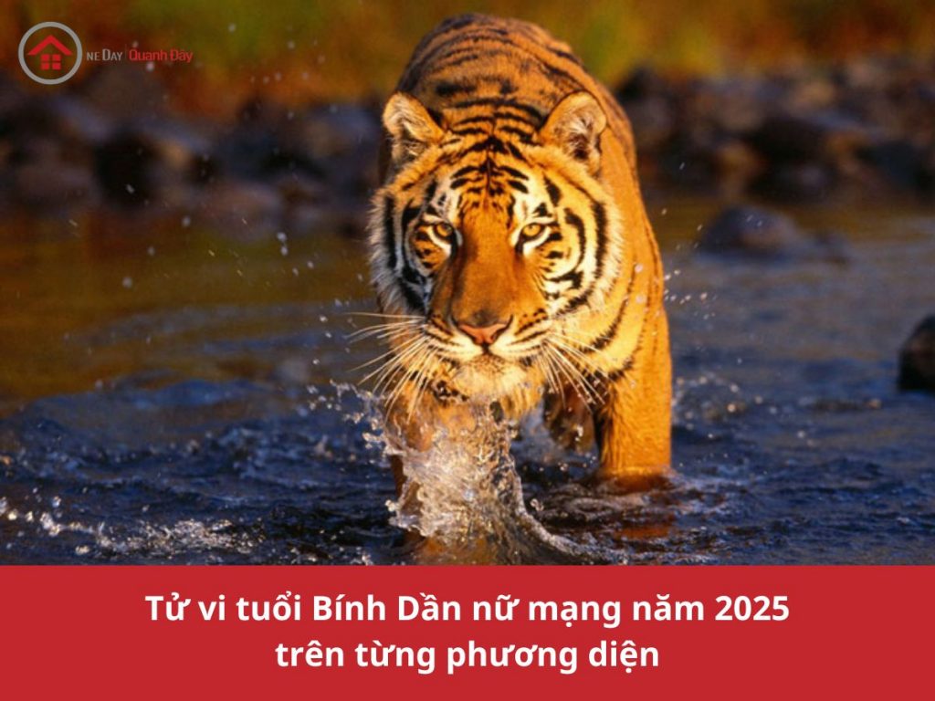 tu-vi-tuoi-binh-dan-nu-mang-nam-2025-tren-tung-phuong-dien