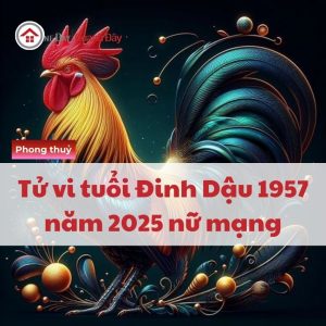 Tử Vi Tuổi Đinh Dậu 1957 Năm 2025 Nữ Mạng - Trời Ban Lộc Lớn