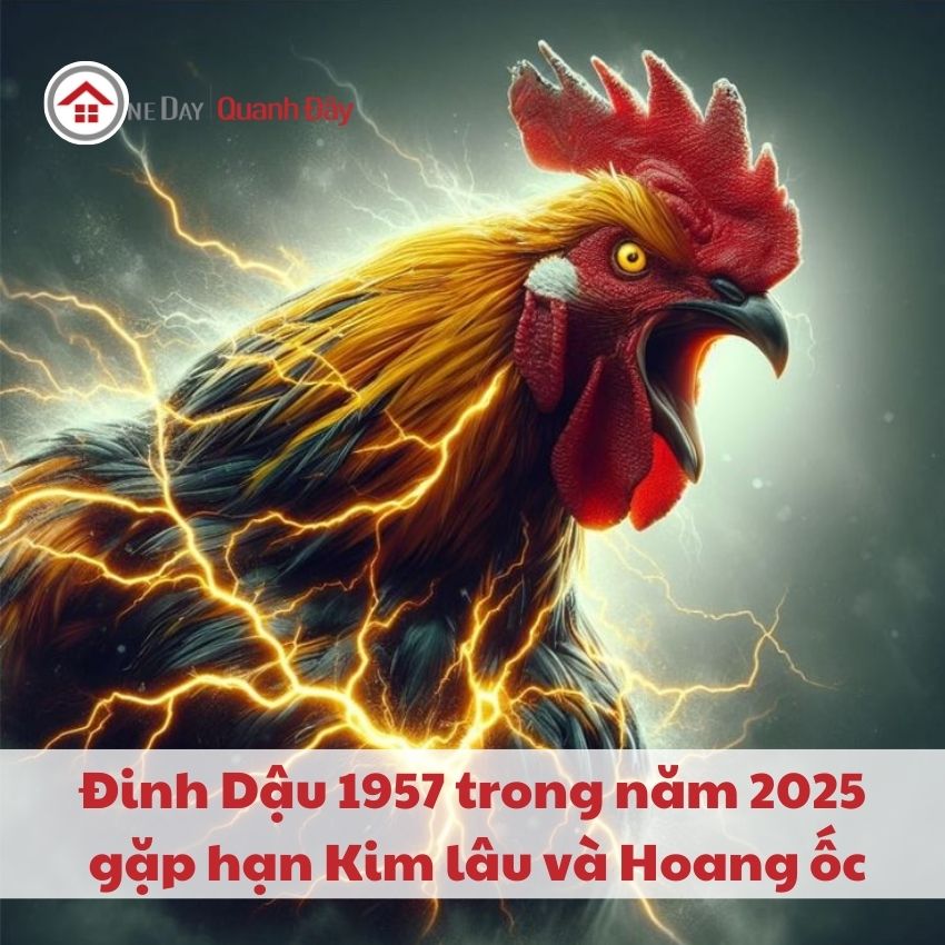 van-han-1957-trong-nam-2025