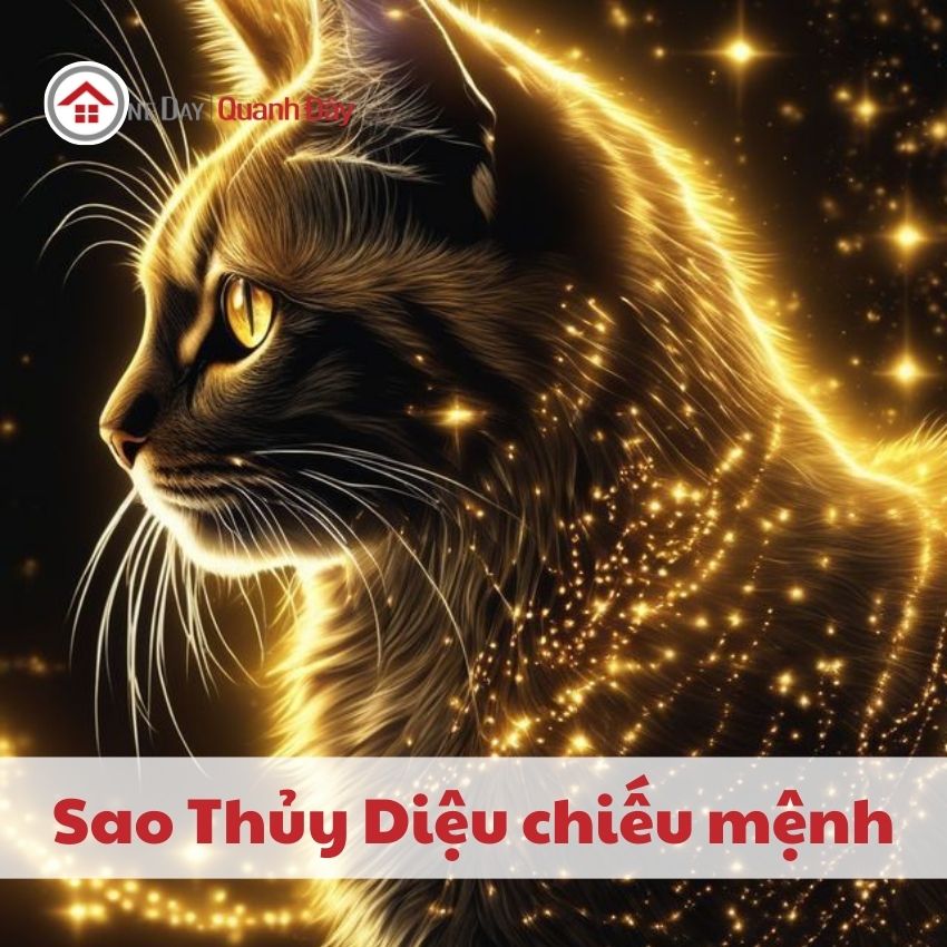 sao-thuy-dieu-chieu-menh-1999