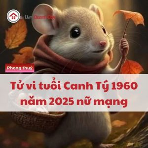 Tử Vi Tuổi Canh Tý 1960 Năm 2025 Nữ Mạng - Hung Cát Khó Lường