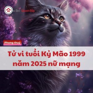 Tử Vi Tuổi Kỷ Mão 1999 Năm 2025 Nữ Mạng - Hanh Thông, Rộng Mở