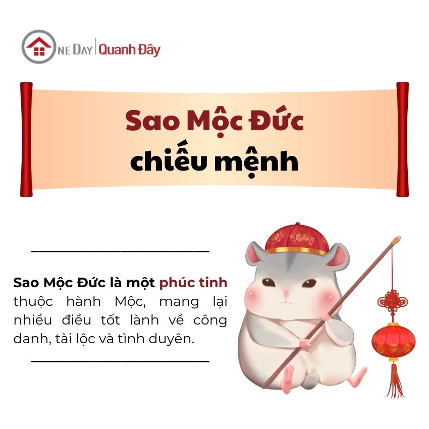 sao-moc-duc-binh-ty-1996-nam-2025-nu-mang