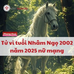 Tử Vi Tuổi Nhâm Ngọ 2002 Năm 2025 Nữ Mạng - Rối Ren, Thử Thách