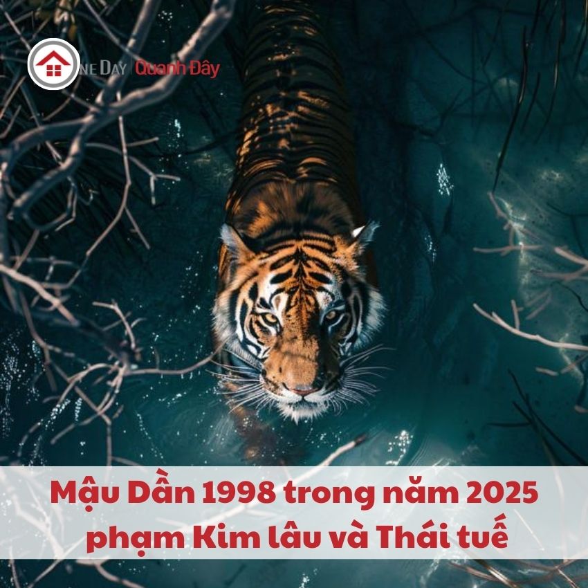 van-han-1998-trong-nam-2025