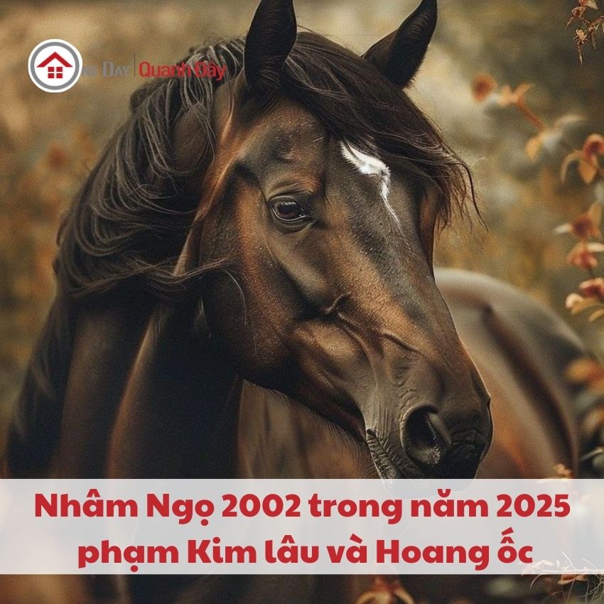 van-han-2002-trong-nam-2025