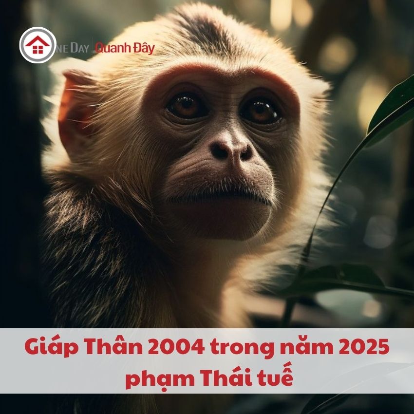 van-han-2004-trong-nam-2025