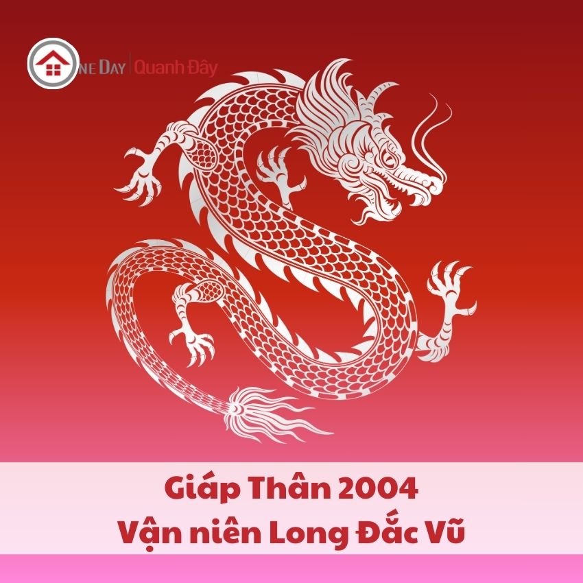 van-nien-2004-trong-nam-2025