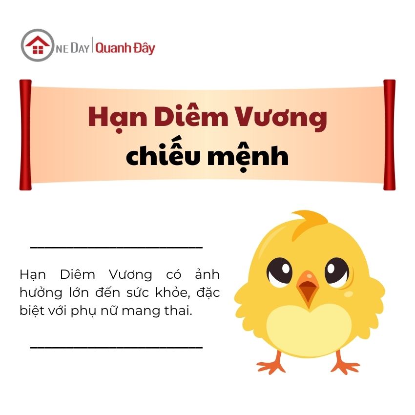 han--diem-vuong-quy-dau-1993-nam-2025-nu-mang