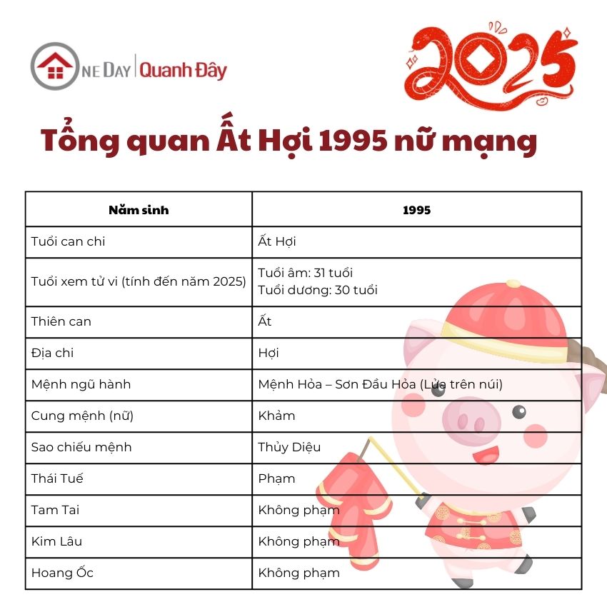 tu-vi-tuoi-at-hoi-1995-nam-2025-nu-mang-binh-giai