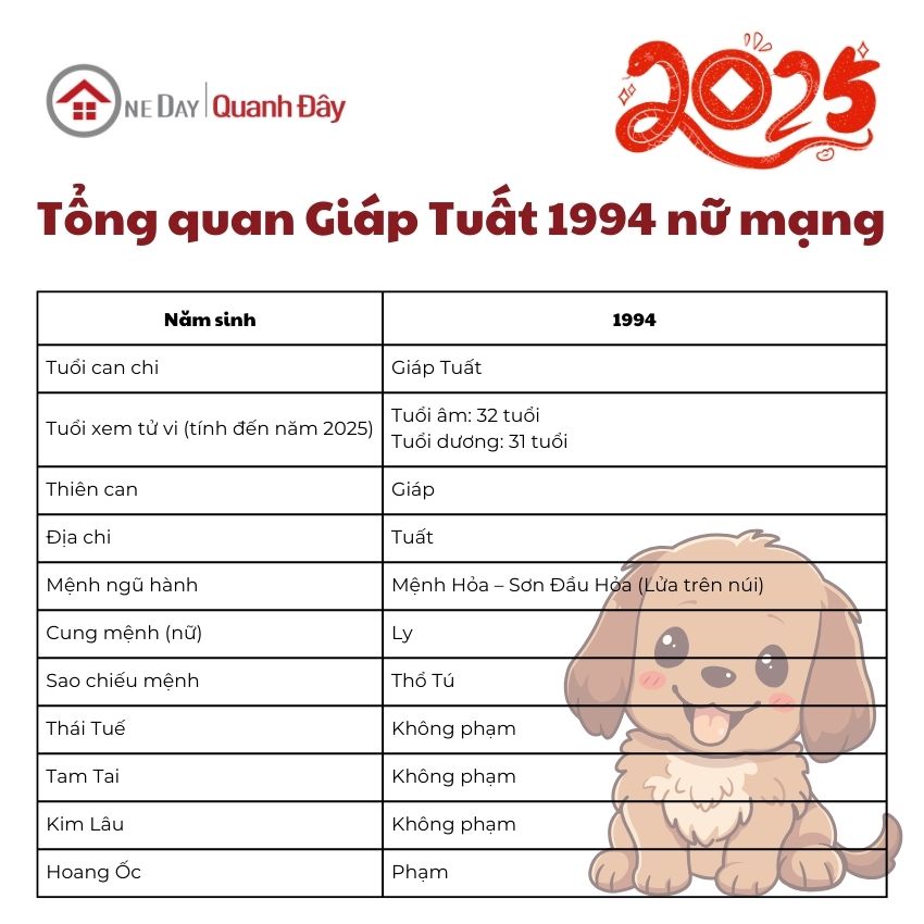 tu-vi-tuoi-giap-tuat-1994-nam-2025-nu-mang (2)