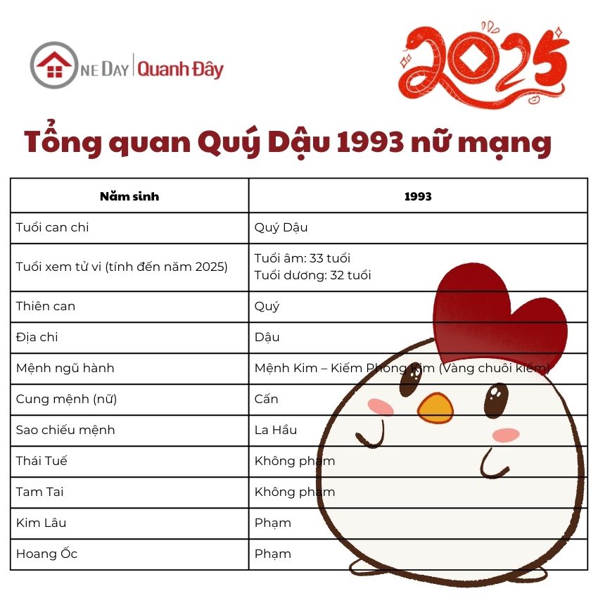 tu-vi-tuoi-quy-dau-1993-nam-2025-nu-mang-tong-quan